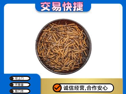 西宁礼品回收虫草.jpg